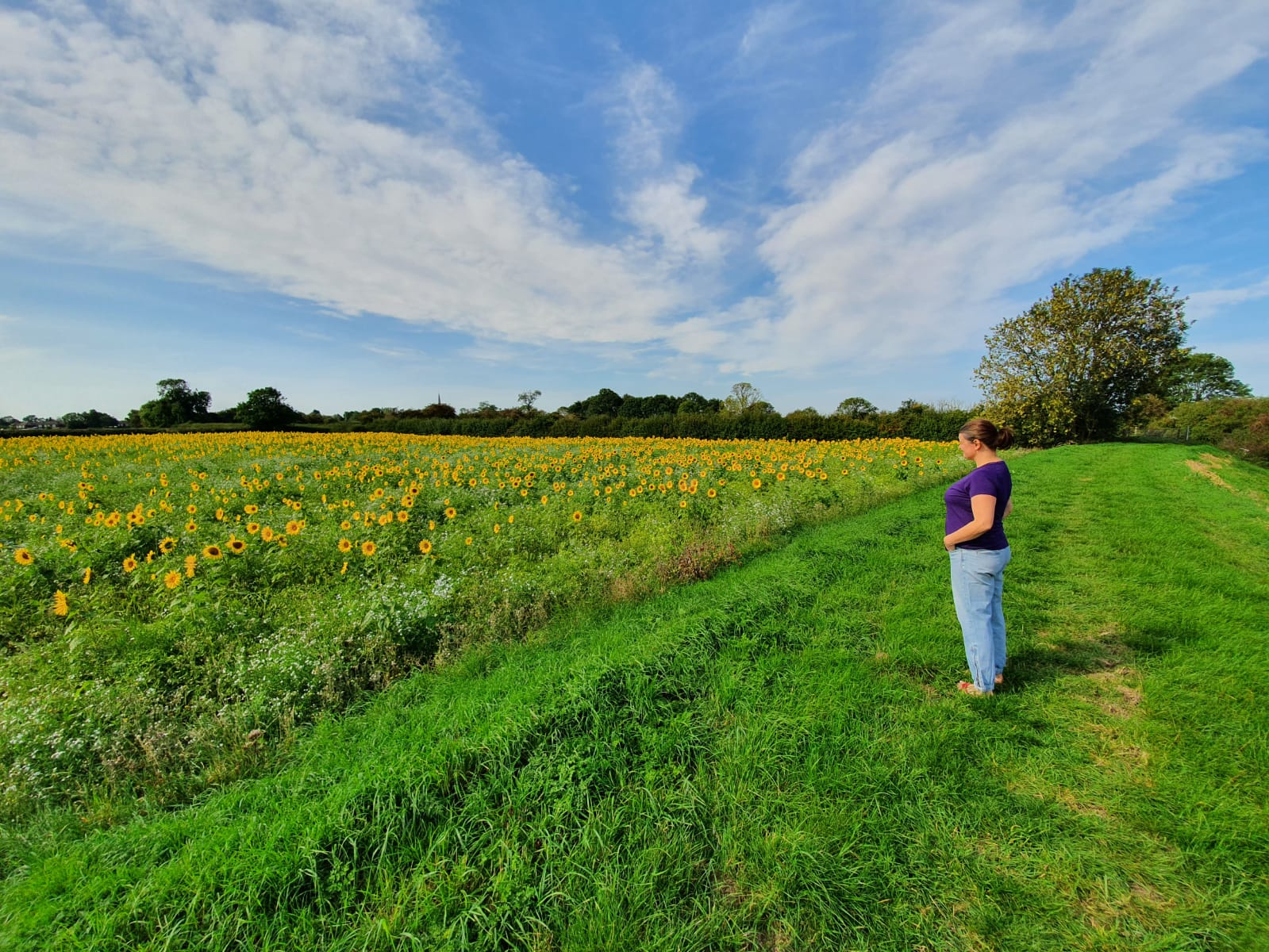 Rachel, founder of Open Skies Yoga, gazing across an open field of sunflowers in Helpringham
